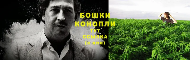 hydra онион  где продают наркотики  Краснокамск  Бошки Шишки THC 21% 